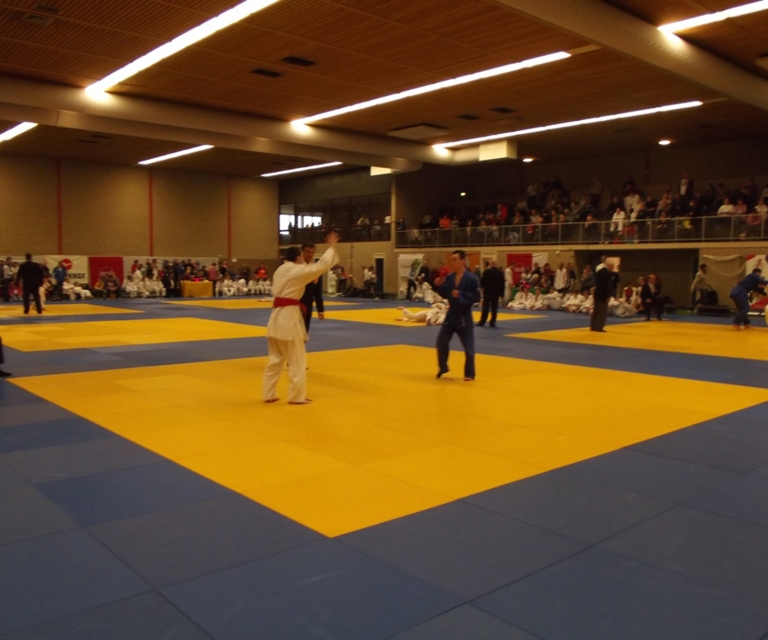 Baarlo International 2012