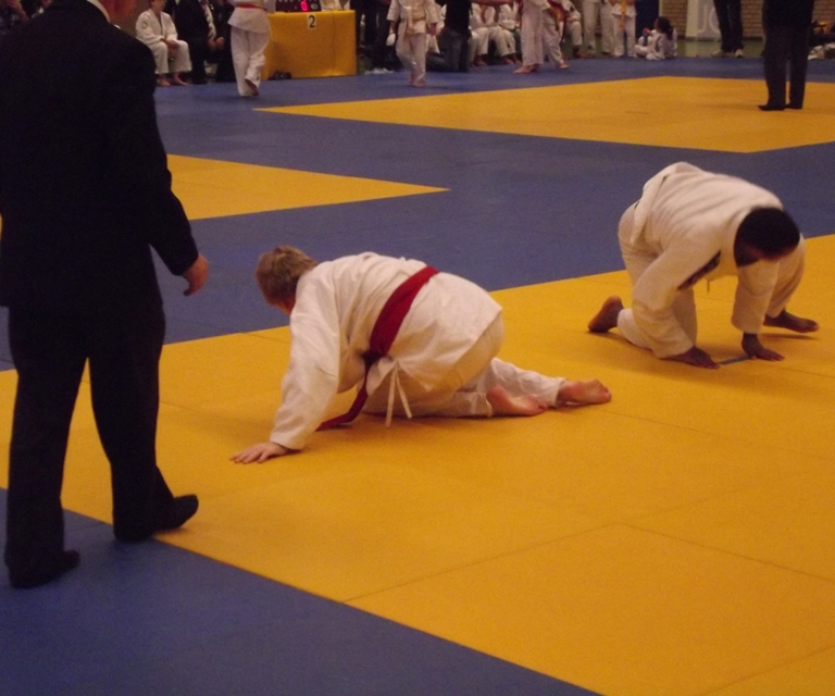 Baarlo International 2012