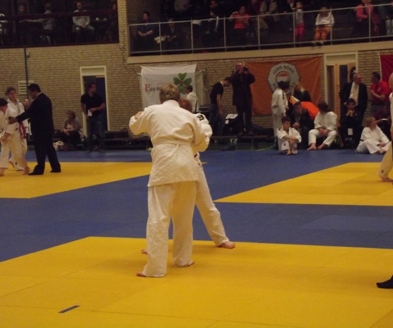 Baarlo International 2012