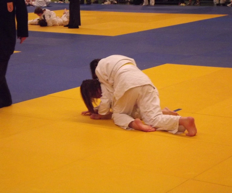 Baarlo International 2012