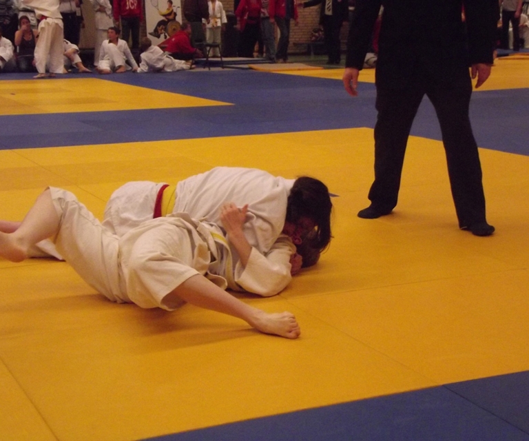 Baarlo International 2012