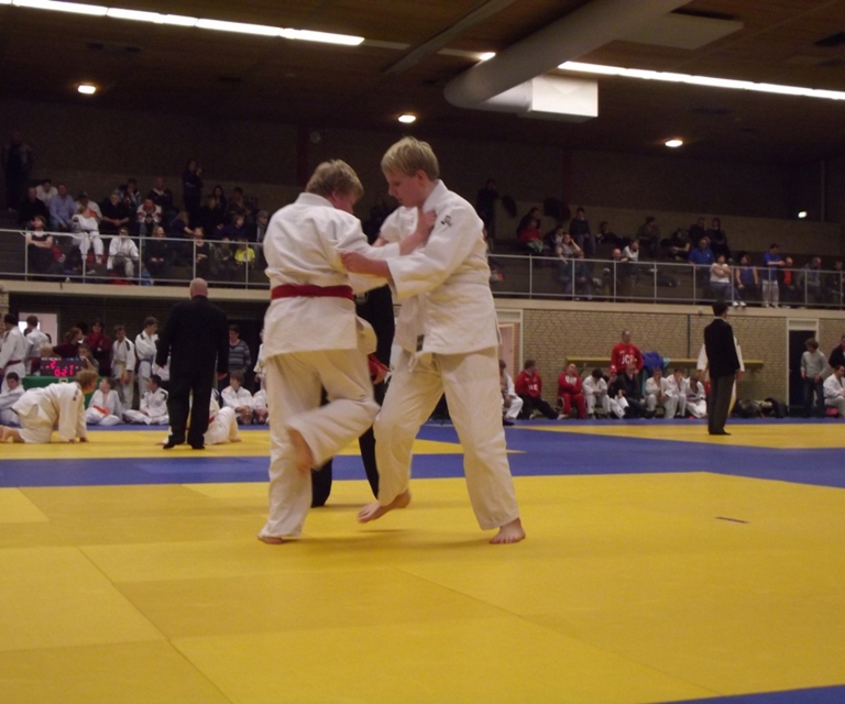 Baarlo International 2012