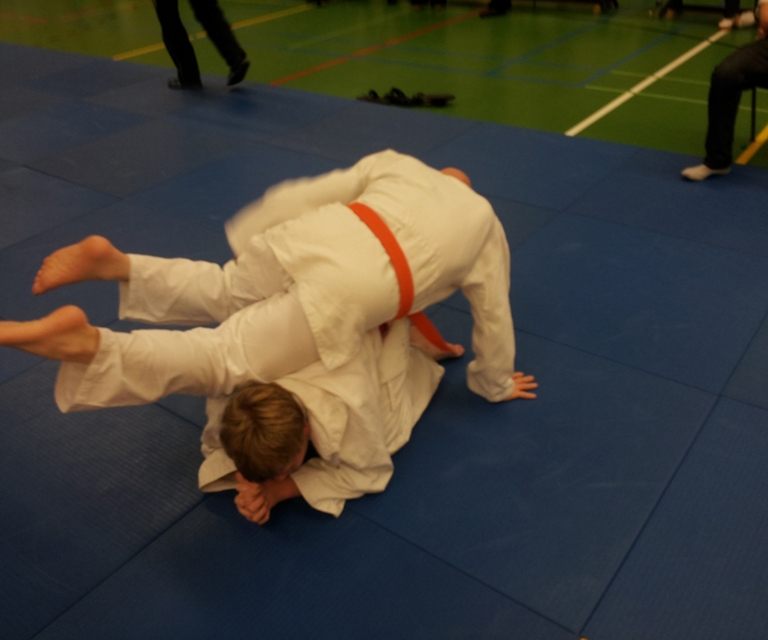 Baarlo International 2012