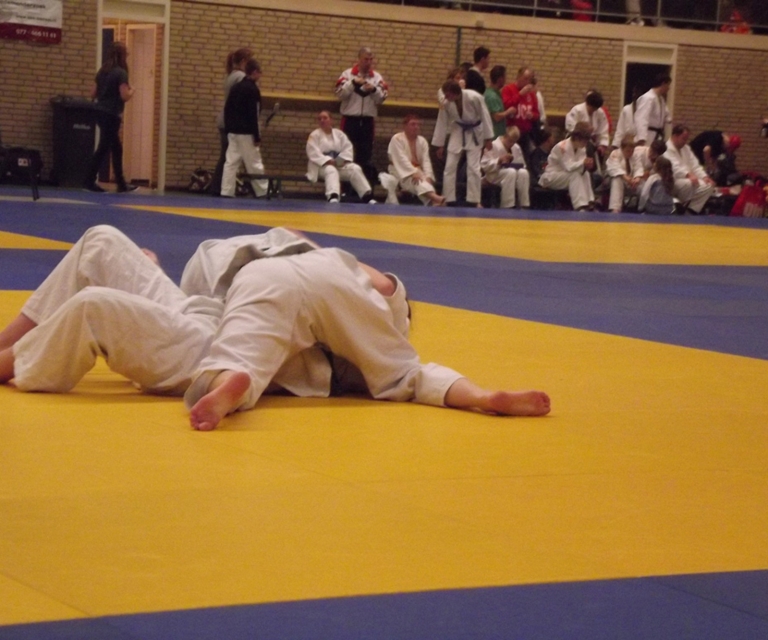 Baarlo International 2012