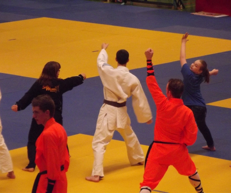 Baarlo International 2012