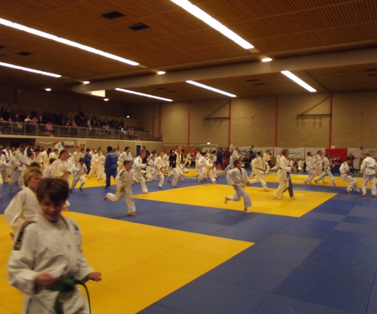 Baarlo International 2012