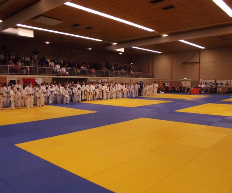 Baarlo International 2012