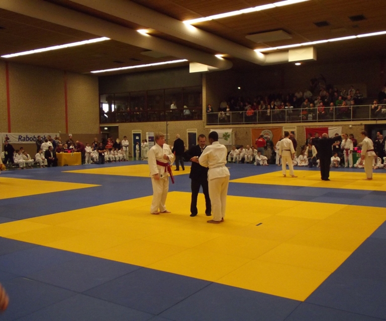 Baarlo International 2012