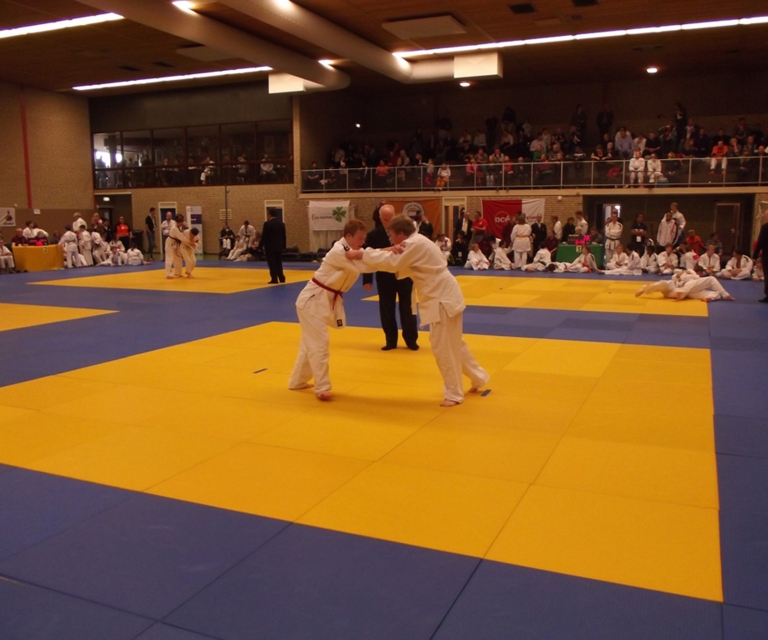 Baarlo International 2012