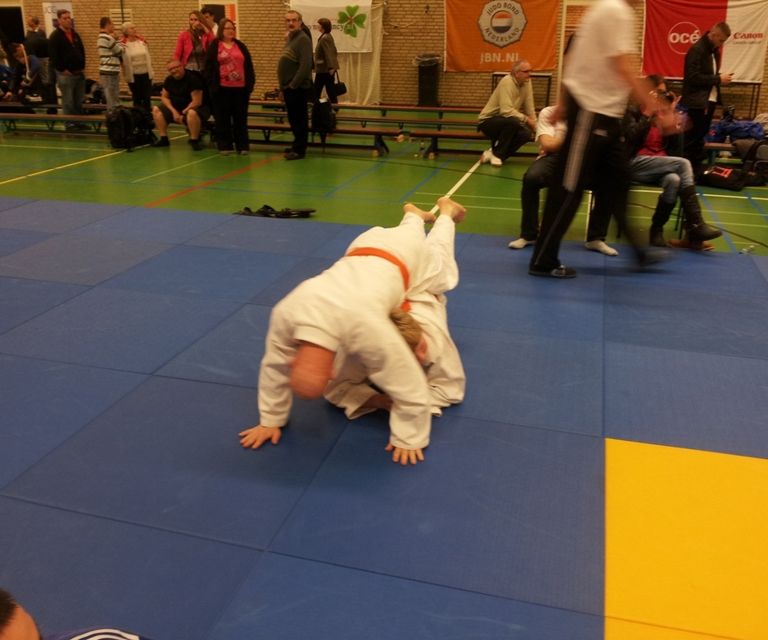 Baarlo International 2012