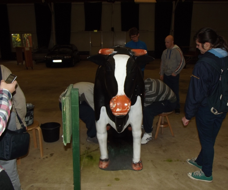 Baarlo International 2012