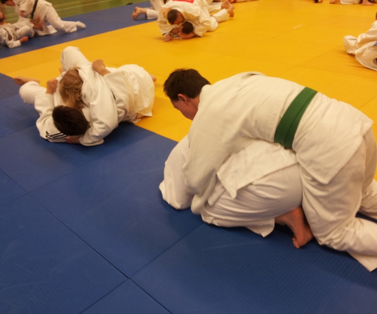 Baarlo International 2012