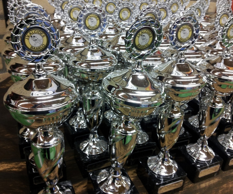 Baarlo International 2012