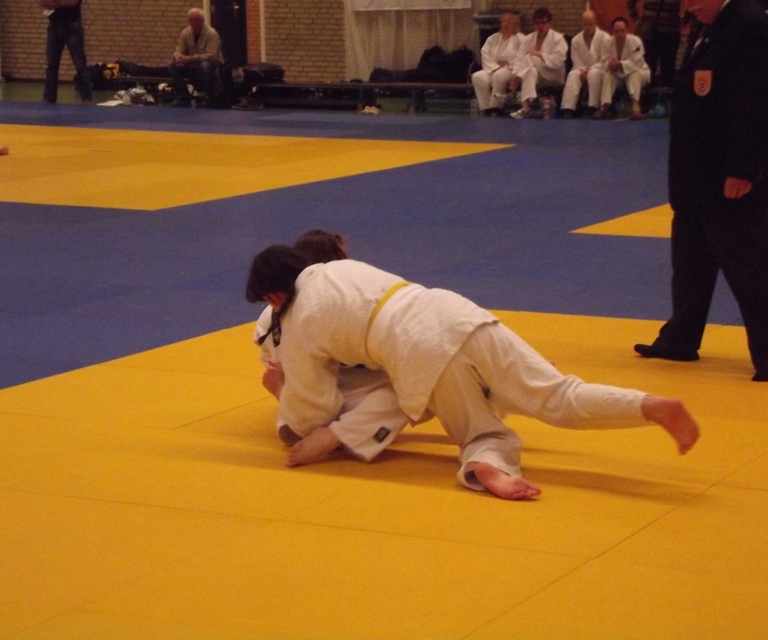 Baarlo International 2012