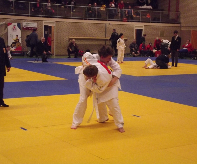 Baarlo International 2012