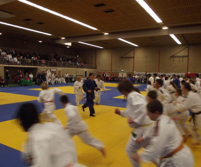 Baarlo International 2012