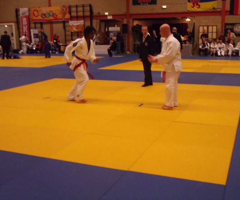 Baarlo International 2012