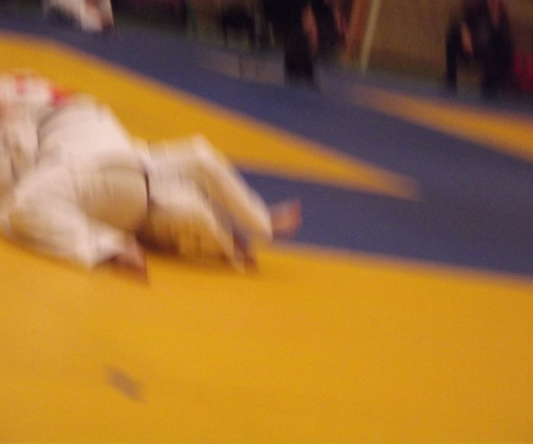 Baarlo International 2012