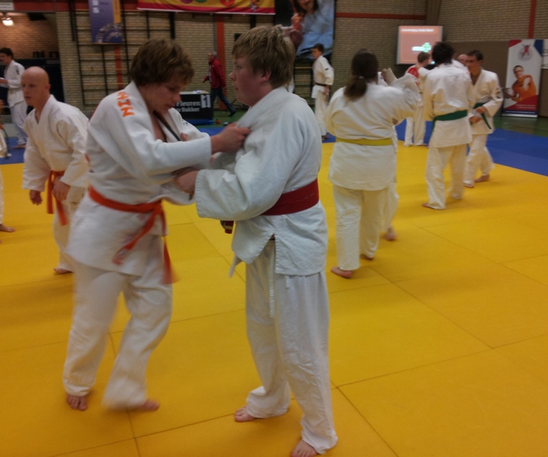 Baarlo International 2012