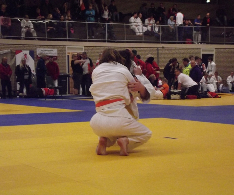 Baarlo International 2012