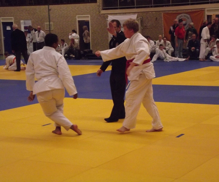 Baarlo International 2012