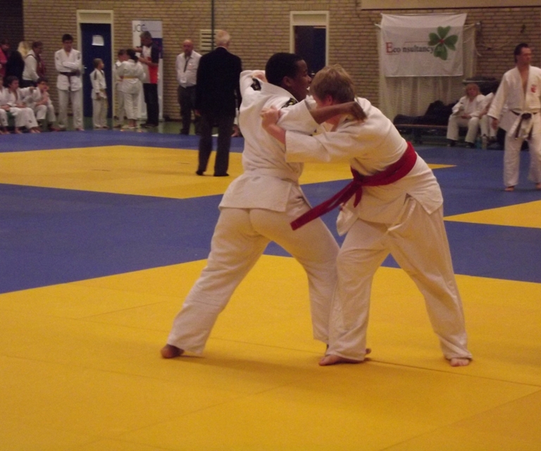 Baarlo International 2012