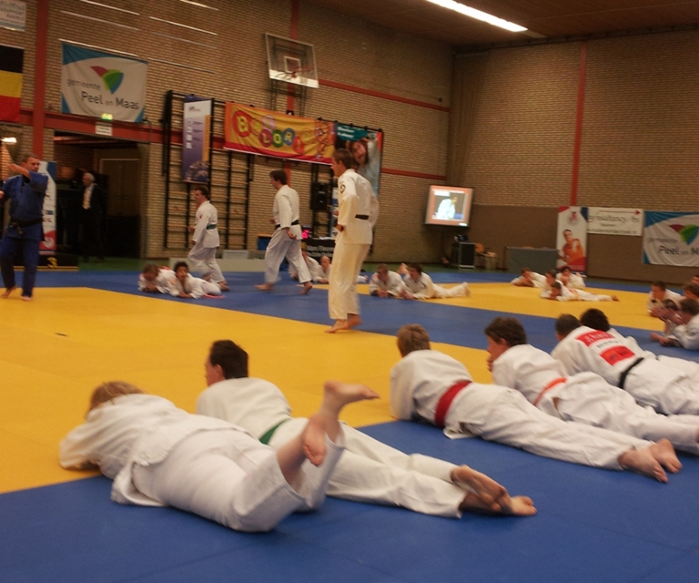 Baarlo International 2012