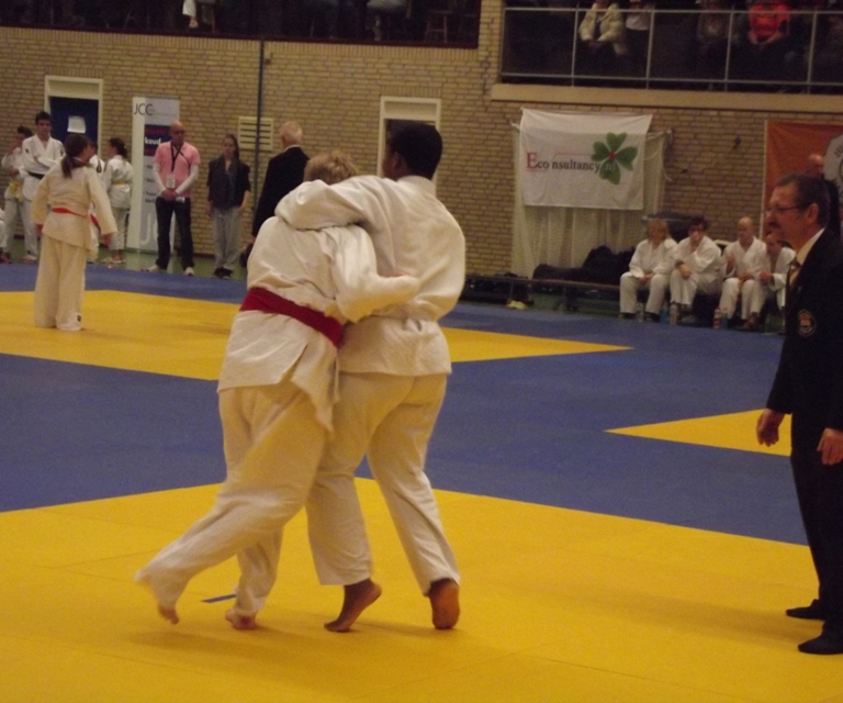 Baarlo International 2012