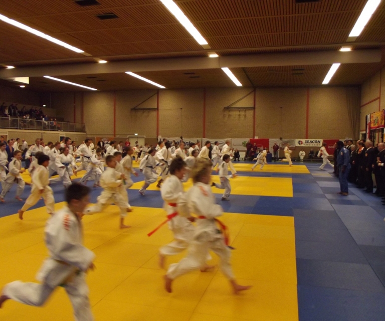 Baarlo International 2012