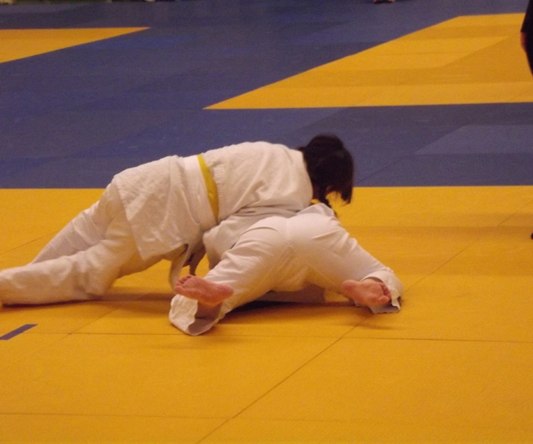 Baarlo International 2012