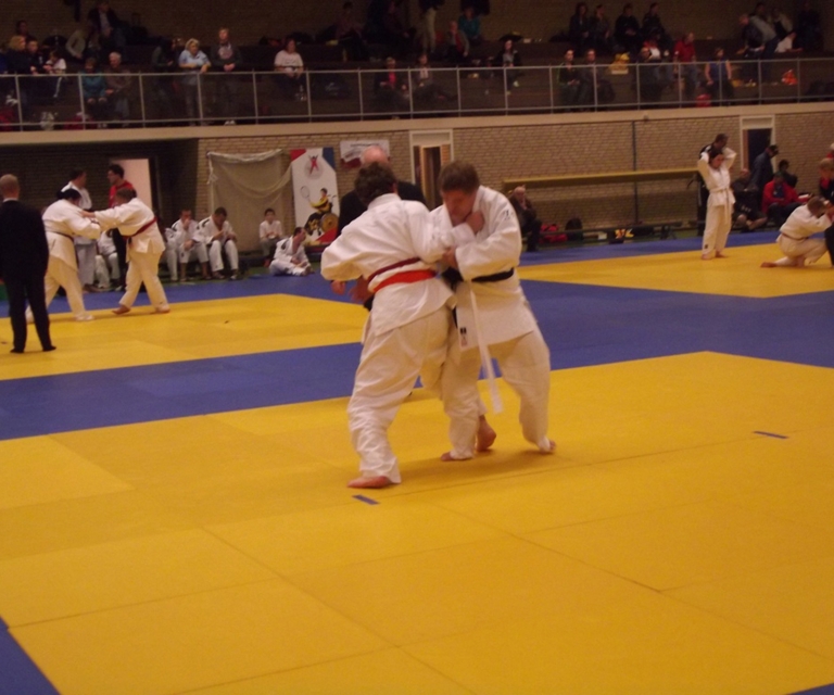 Baarlo International 2012