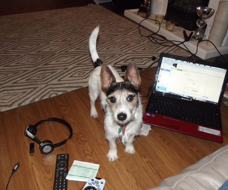 Baarlo International 2012