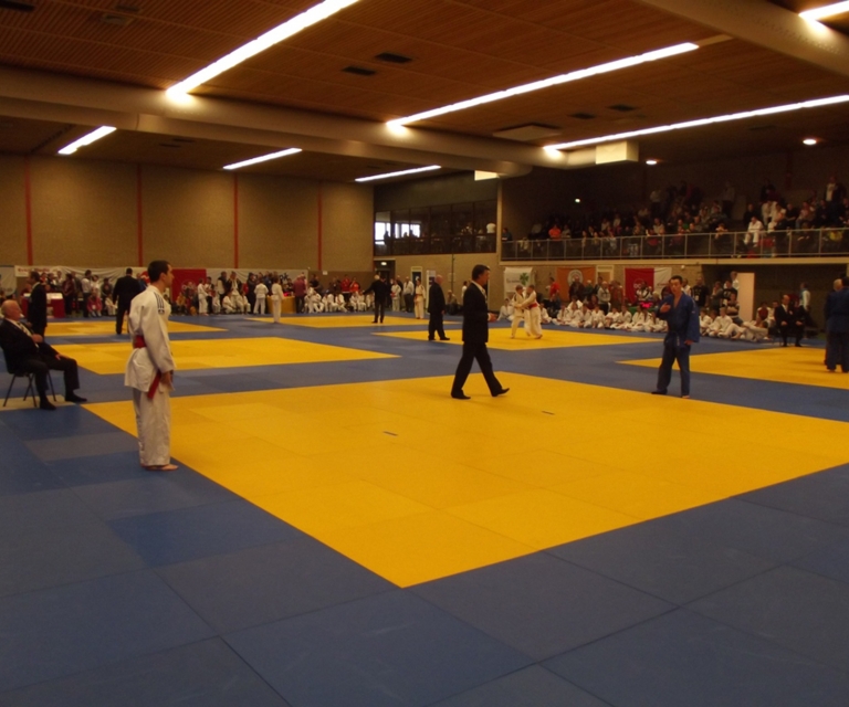 Baarlo International 2012