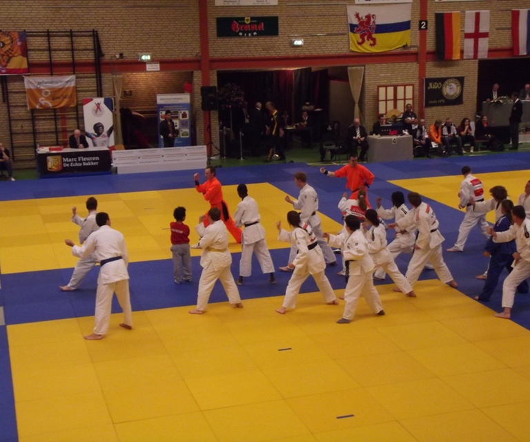 Baarlo International 2012