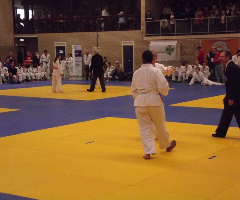 Baarlo International 2012