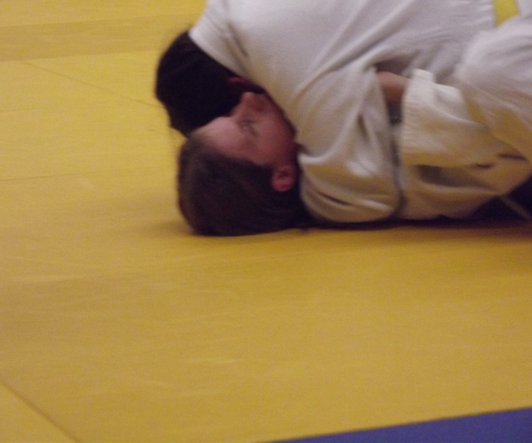 Baarlo International 2012