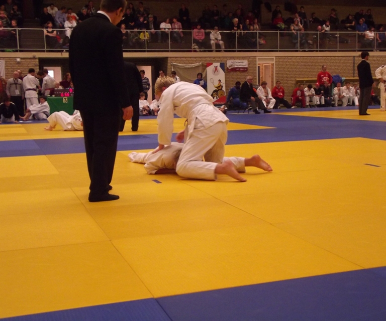 Baarlo International 2012