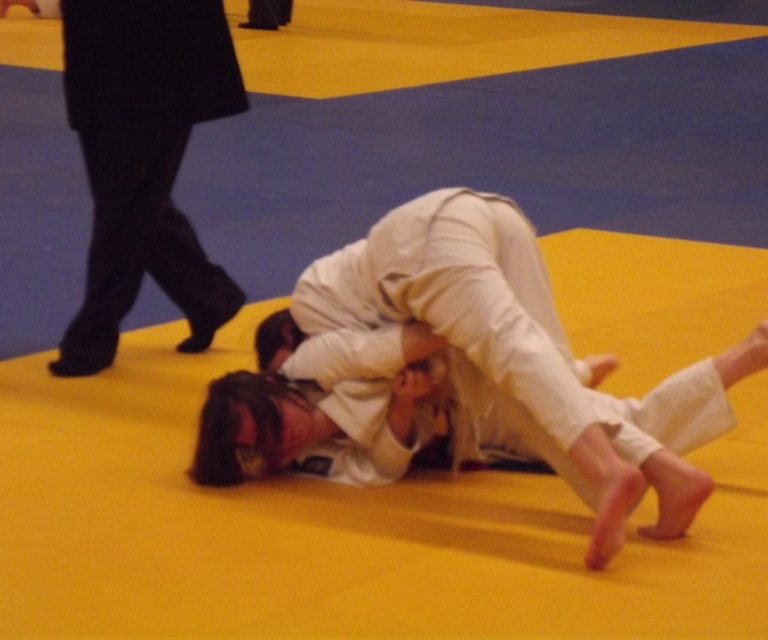 Baarlo International 2012