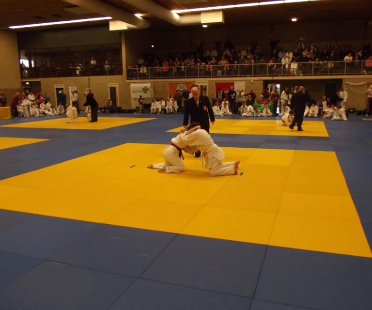 Baarlo International 2012